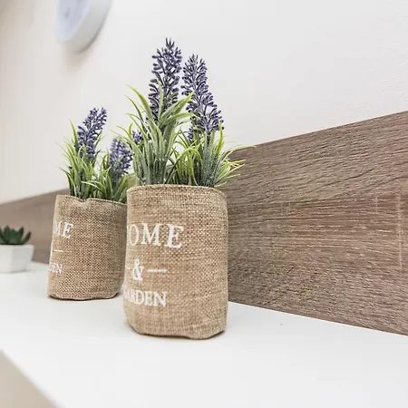 Melita Center * זאדאר