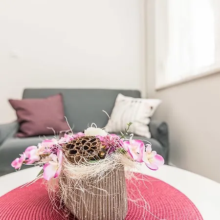 Melita Center * זאדאר